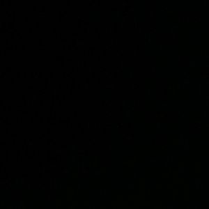 Meet your Posher, Trina